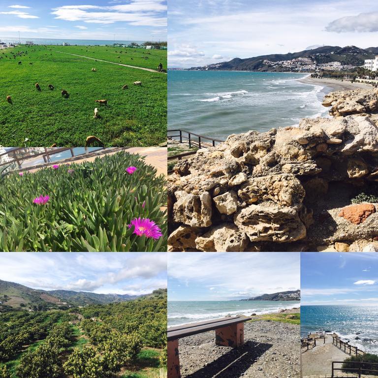 Axarquia Apartments Nerja Zewnętrze zdjęcie